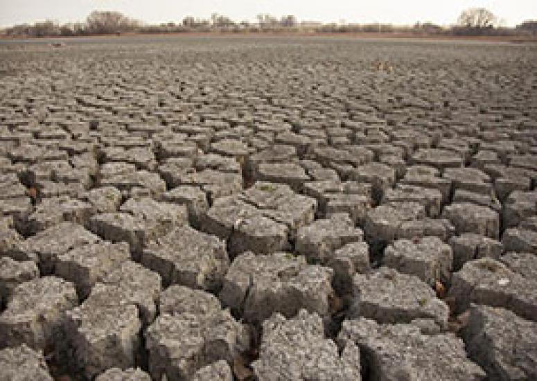 Drought and tourism: Photo of dry, cracked lakebed