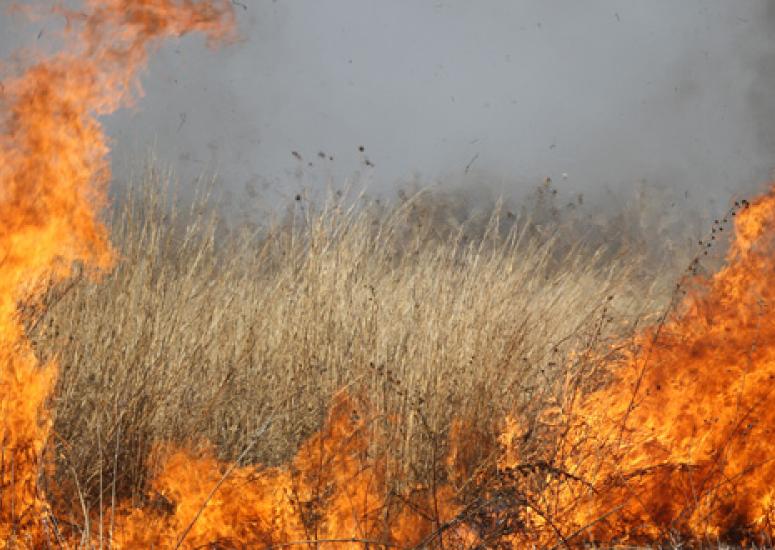 Population and future fire: photo of fire burning across a grassland