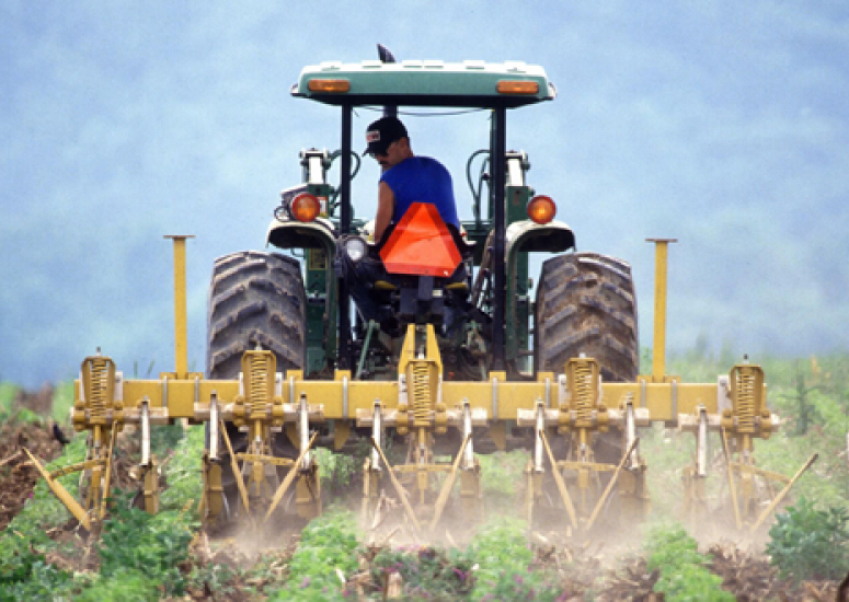 Climate and food security report wins award - photo: farmer plows his land