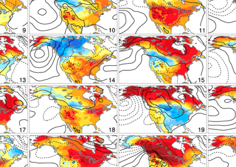 North American temperature trends for 30 members of the CESM Large Ensemble