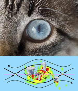 Cat's eye pattern in tropical cyclogenesis