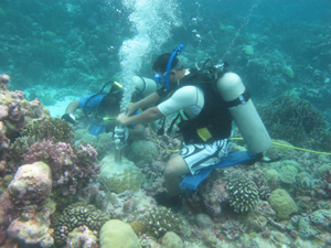 Kiribati researchers taking samples of coral