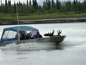 Alaska Natives return from a moose hunt by boat.