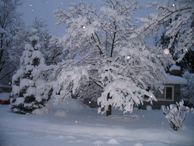Snowfall in south Boulder, 10.29.09