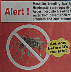Portion of mosquito-related poster from Delhi, India